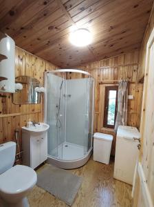 TrzebcinyPrzylesie Trzebciny的带淋浴、卫生间和盥洗盆的浴室