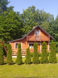 维索瓦-兹德鲁伊Domki wypoczynkowe - całoroczne.的小木屋,有一排树木和灌木