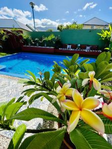 圣路易斯Chambre confortable dans une ambiance hôtel de charme avec piscine的前面有一堆鲜花的游泳池