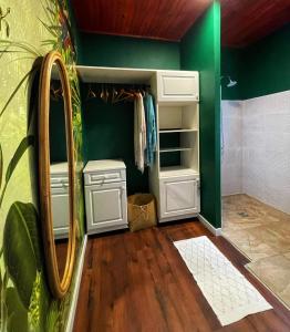 圣路易斯Chambre confortable dans une ambiance hôtel de charme avec piscine的浴室设有绿色的墙壁、水槽和镜子