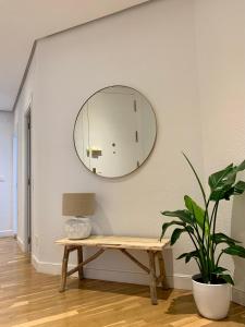 毕尔巴鄂Habitación privada en Bilbao Centro的墙上的镜子,有长凳和植物
