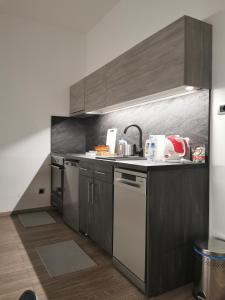DedinjeApartman PAVLOVIC 1的厨房配有不锈钢用具和木柜