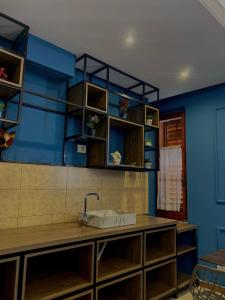 斯库台Promenade Hotel的厨房设有水槽和蓝色的墙壁