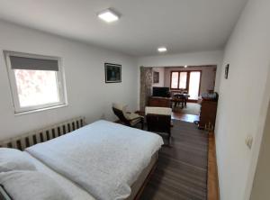 莱斯科瓦茨Nikolic Apartment的一间卧室配有一张床、一张桌子和一张桌子
