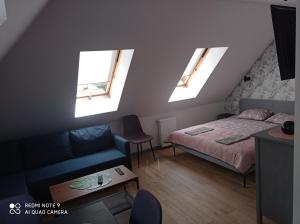 杜什尼基-兹德鲁伊Apartamenty Brzozowe Zacisze的一间卧室设有四扇窗户、一张床和一张沙发
