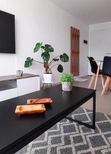 乌斯怀亚Austral 503的客厅里种有植物的黑咖啡桌