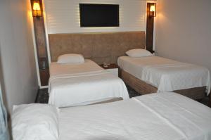 MackaJolnar garden hotel的酒店客房设有三张床和电视。