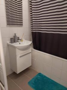 布达佩斯B30 Apartman的一间带水槽和淋浴帘的浴室