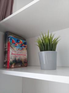 布达佩斯B30 Apartman的书和架子上的盆栽