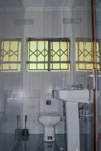 卢萨卡Carsi holiday Villa的一间带卫生间和水槽的浴室以及两个窗户。