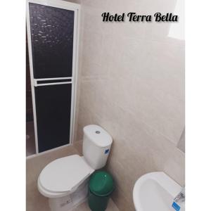 GuadalupeHotel Terra Bella的一间带卫生间和淋浴的浴室