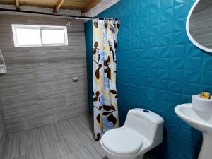 科韦尼亚斯Hotel Cabaña Playa DanRay的蓝色的浴室设有卫生间和水槽