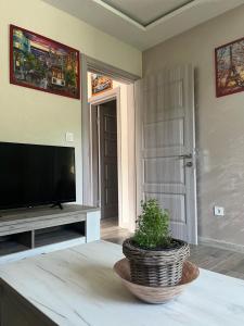 布德瓦Apartmani Rezevici的一间配有电视的客厅和一张桌子上盆栽的植物