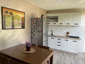 布德瓦Apartmani Rezevici的厨房配有冰箱和木桌