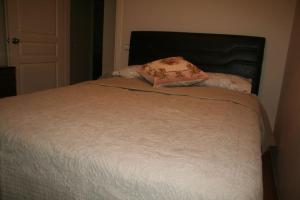 伊兹密尔伊兹密尔考纳克里公寓的床上有2个枕头