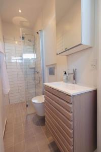 米泽尔法特Dock House 95-97的一间带水槽、卫生间和淋浴的浴室
