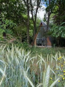 DonnayLa Maison Villeneuve - Lodges avec bains nordiques的草丛中的房子