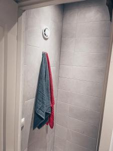 沃鲁Tamula loftid的红色和绿色毛巾淋浴