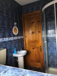 FeiteiraAdega do Golfinho的一间带水槽、淋浴和卫生间的浴室