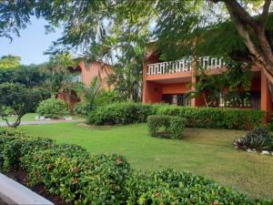 博卡奇卡Room in Apartment - Delightful Caribbean apartment in Boca Chica的一座带绿树成荫的庭院