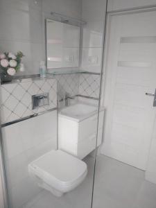 奥尔什丁Pokoje gościnne Słupy Olsztyn - parking的白色的浴室设有卫生间和水槽。