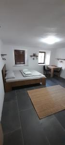 什科菲亚洛卡Apartment Slovan的一间设有床铺和桌子的房间
