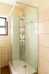 布拉干萨Bragança Apartments的浴室里设有玻璃门淋浴