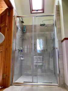 卡文Dan Rua's Cottage的浴室里设有玻璃门淋浴
