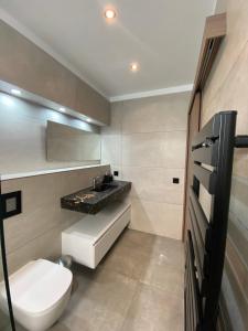 博尼法乔Mini-Villa Jade的一间带卫生间和水槽的浴室