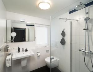 卡尔斯鲁厄ANA Living Karlsruhe by Arthotel ANA的一间带水槽、卫生间和淋浴的浴室
