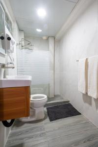 圣多明各Acogedor estudio 7 en la Zona Colonial的浴室配有卫生间、淋浴和盥洗盆。