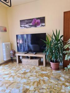 圣雷莫Casa dell amore 4的客厅配有平面电视和植物