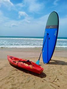坦加拉Halcyon Mawella的沙滩上的红色皮艇和蓝色冲浪板