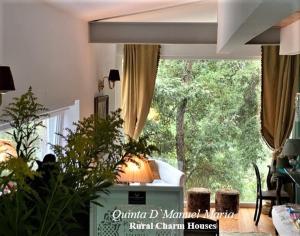 阿马兰特Quinta D`Manuel Maria- Rural Charm Houses的客厅设有一扇带一棵树的大窗户