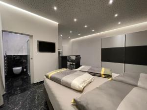 林茨Exklusive Wohnung的一间带两张床的卧室和一间带电视的浴室