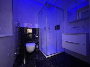 林茨Exklusive Wohnung的紫色浴室设有卫生间和淋浴