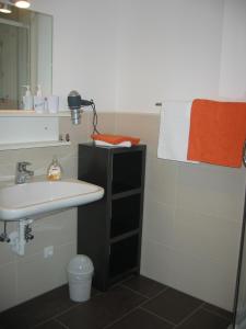 哈尔施塔特哈尔施塔特豪斯斯泰因布雷克公寓酒店的一间带水槽和镜子的浴室