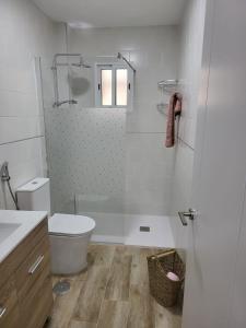 马拉加APARTAMENTO SH的白色的浴室设有卫生间和淋浴。