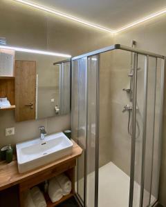 德弗雷根谷地圣雅各布海因茨勒 - 您的度假公寓的一间带水槽和淋浴的浴室