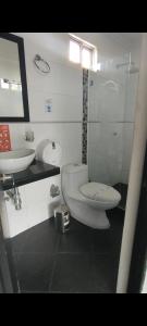 比亚维森西奥Confort Plaza Hotel的一间带卫生间和水槽的浴室