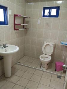 Lanyu兰屿我家の民宿的一间带卫生间和水槽的浴室