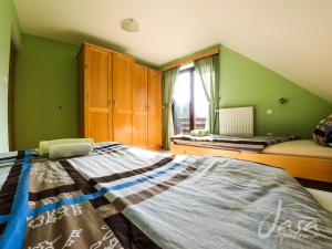 莫济列亚萨公寓的一张大床,位于带绿色墙壁的房间