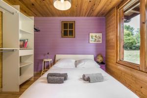 加斯泰Maison typique landaise的紫色墙壁间的一张床位