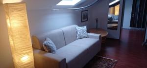 蒙卡列里Appartamento mansardato iPatrizi的客厅配有带枕头的沙发