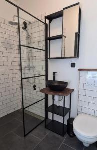 诺德克豪特Studio tussen de bossen en de bollenvelden的一间带水槽、镜子和卫生间的浴室