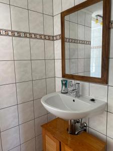 希登塞Haus Mohnke的一间带水槽和镜子的浴室