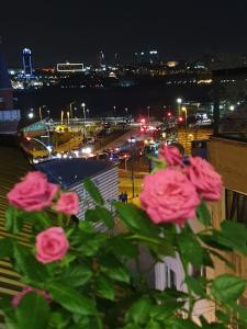 伊斯坦布尔ÜSKÜDAR OTEL的享有粉红色玫瑰的城市美景