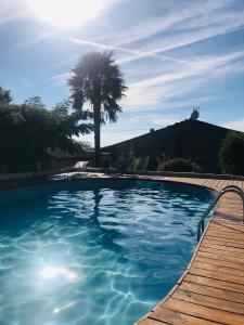 Auriac-sur-VendinelleLes Etoiles de Morphée的一个棕榈树背景的大型游泳池
