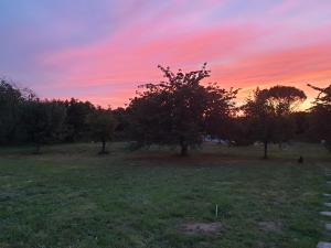 Auriac-sur-VendinelleLes Etoiles de Morphée的田野里树木的日落