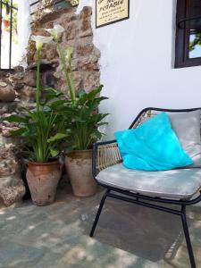 CarcabueyLa Posada Amena的植物旁的一张长凳,上面有蓝色枕头